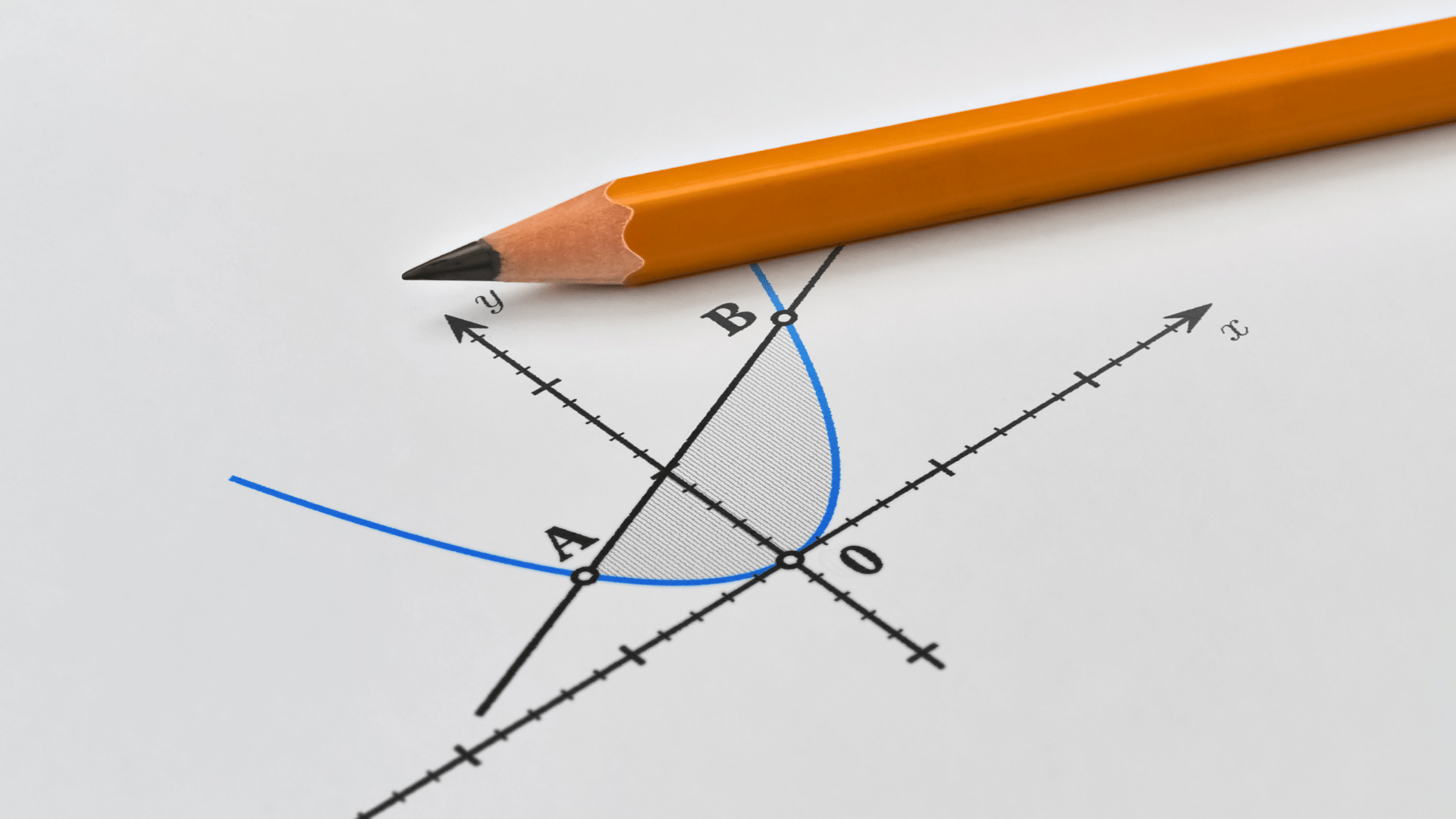 11. sınıf matematik fonksityon